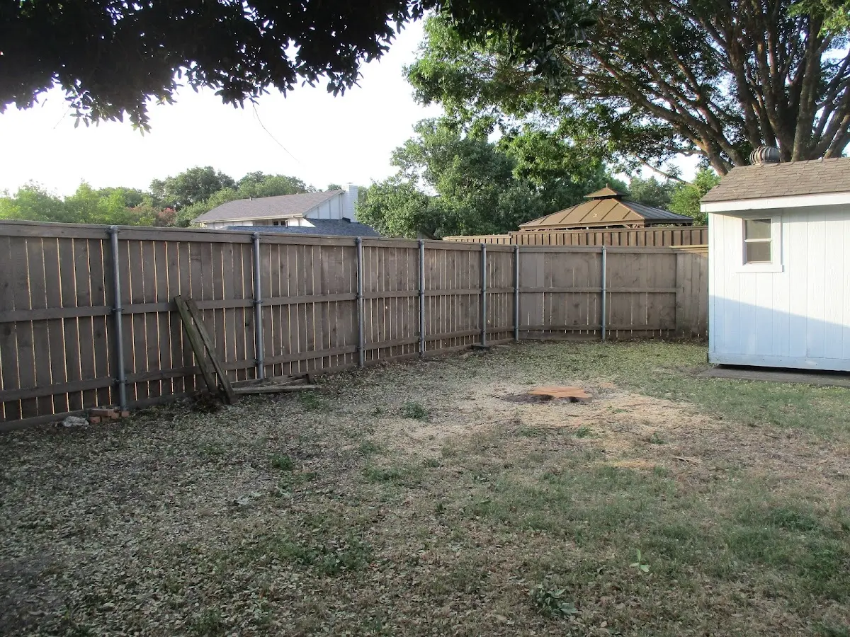 Cleared yard after professional tree removal in Franklin